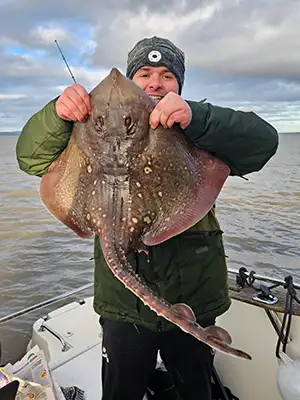 Thornback ray