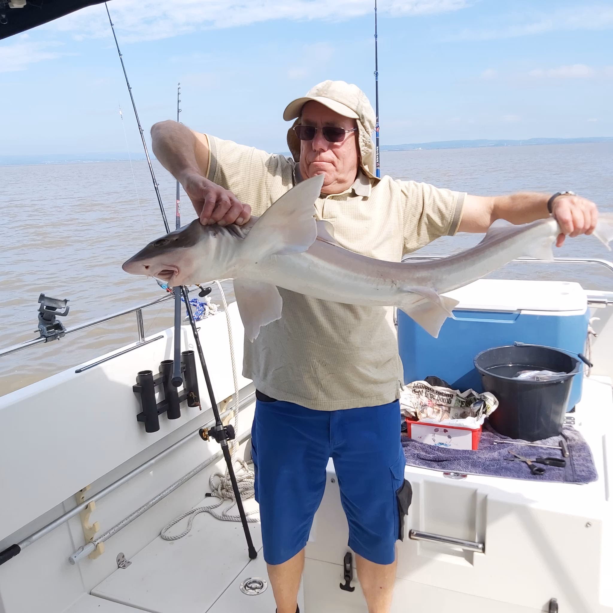 Smooth hound